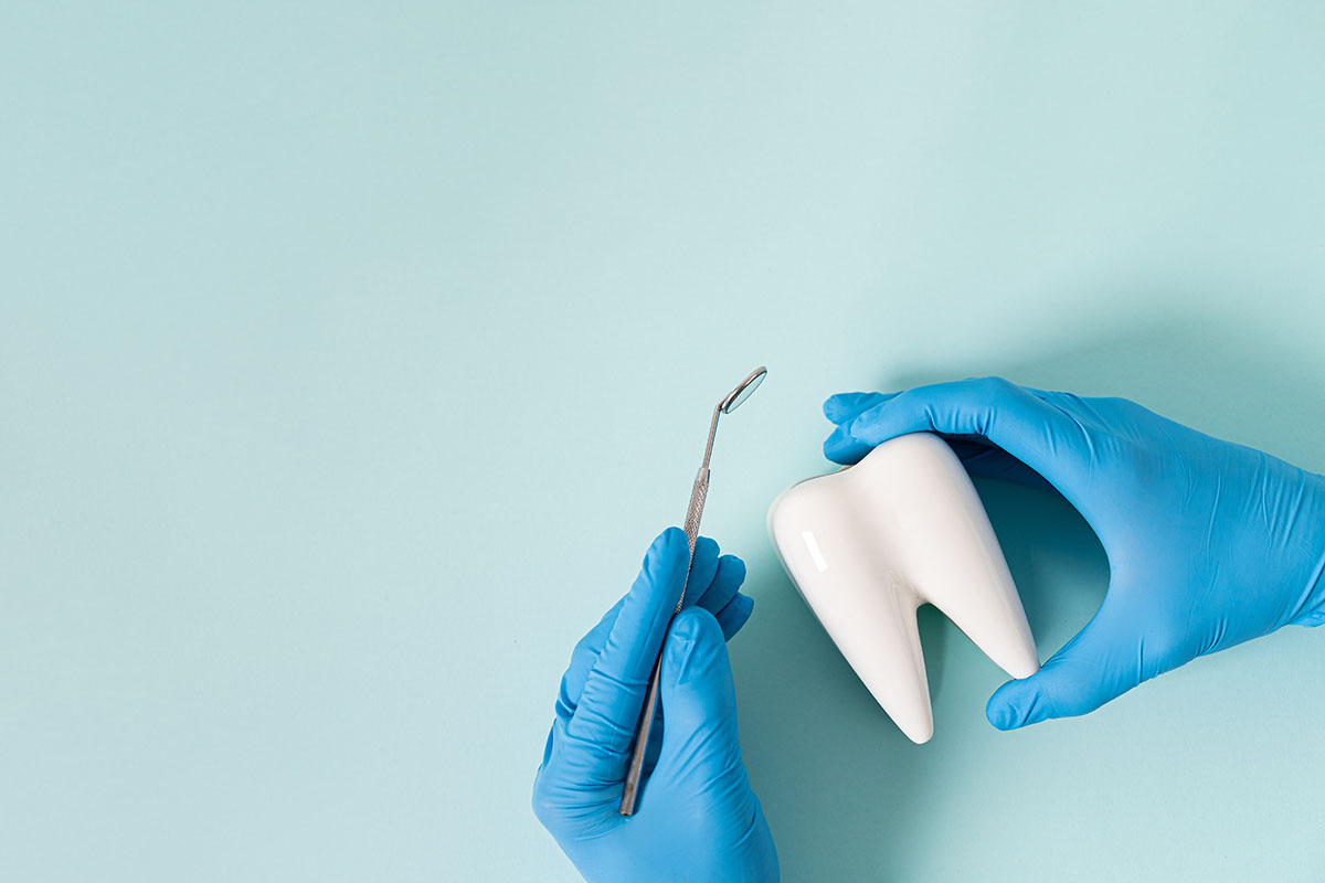Dentist,Hands,With,Healthy,White,Tooth,Model,And,Dentist,Mirror